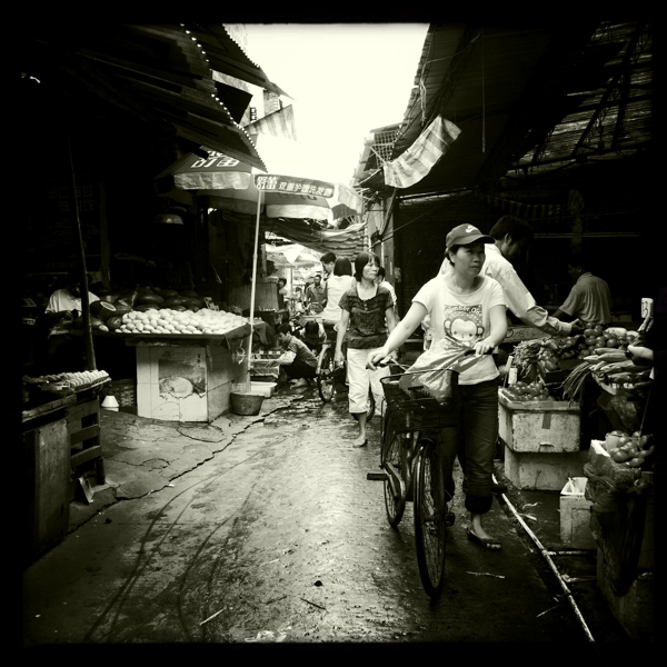 Hip 330161499.776920