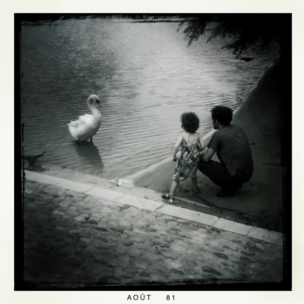 Hip 335033053.603416