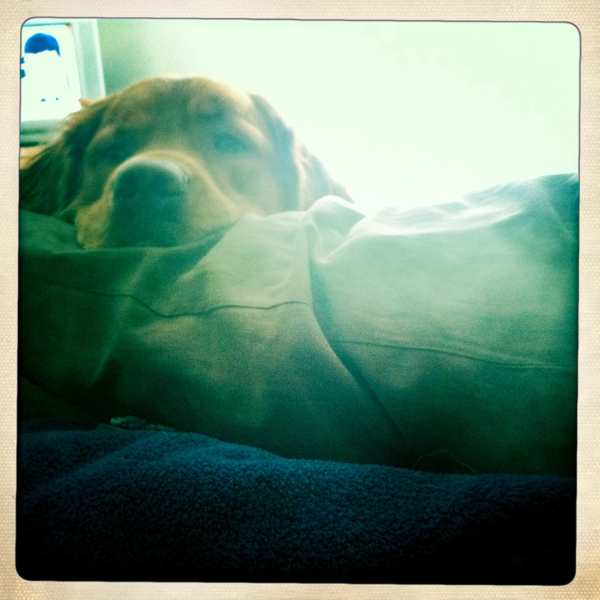 Hip 335276137.287266