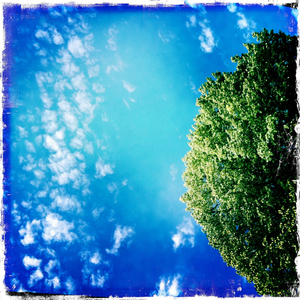 Hip 335278083.022940