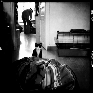 Hip 330706559.074933