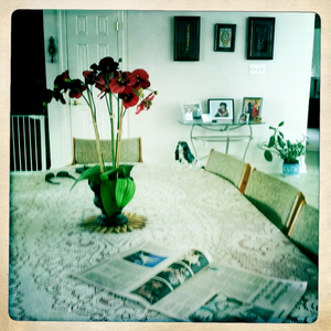 Hip 335043248.546682