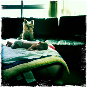 Hip 335281222.688915