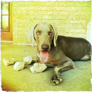 Hip 332899451.023882