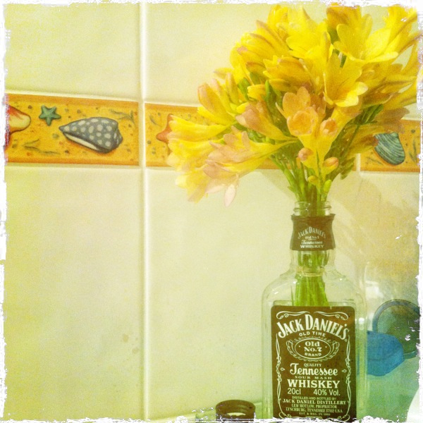 Hip 335282285.978211