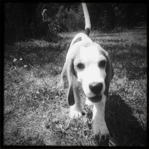 Hip 335101372.348044