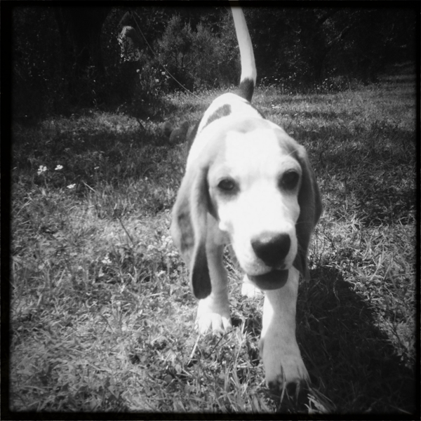 Hip 335101372.348044