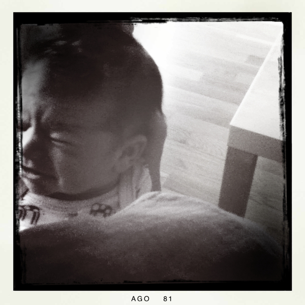 Hip 334856050.441299