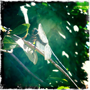 Hip 335282858.823667