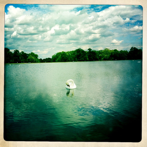 Hip 331135402.603694