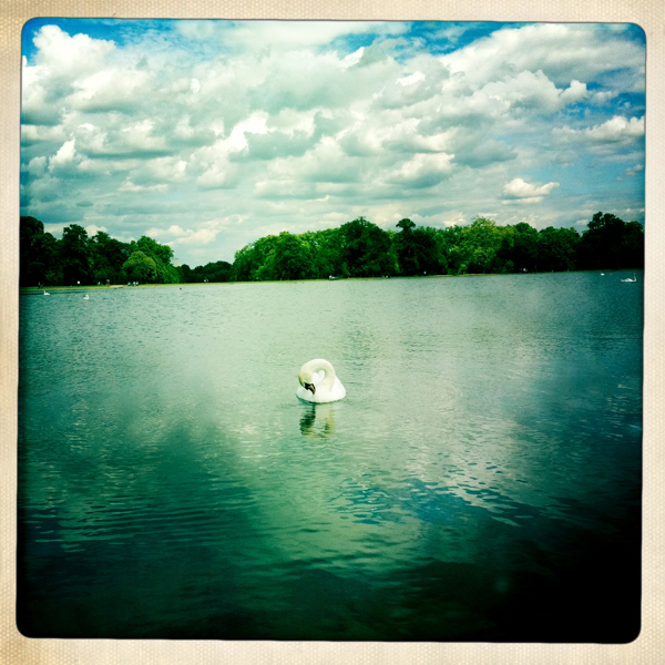 Hip 331135402.603694