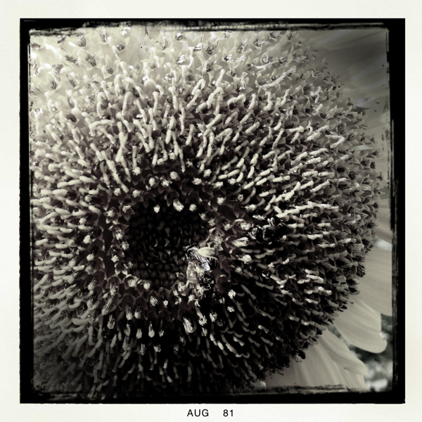 Hip 335284270.227126