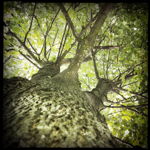 Hip 335204248.990396