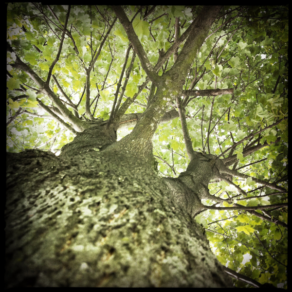 Hip 335204248.990396