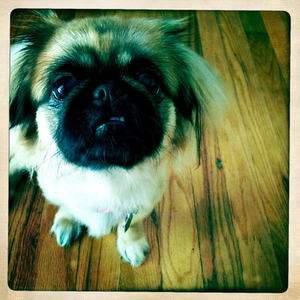 Hip 335284817.326598