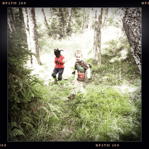 Hip 334933884.928783