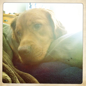 Hip 335276343.082384