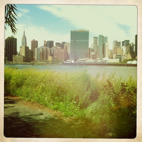 Hip 334947419.156181