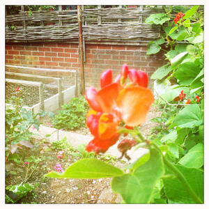 Hip 335199908.996309