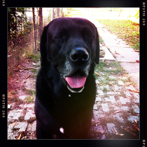 Hip 335291924.059577