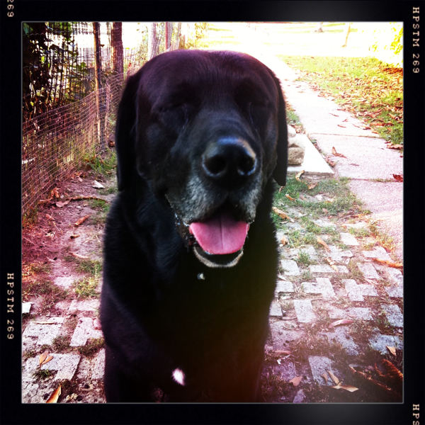 Hip 335291924.059577