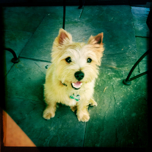 Hip 335291249.981885