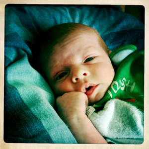 Hip 335007475.570564