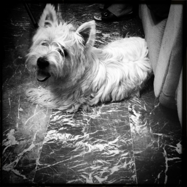 Hip 335126529.077632