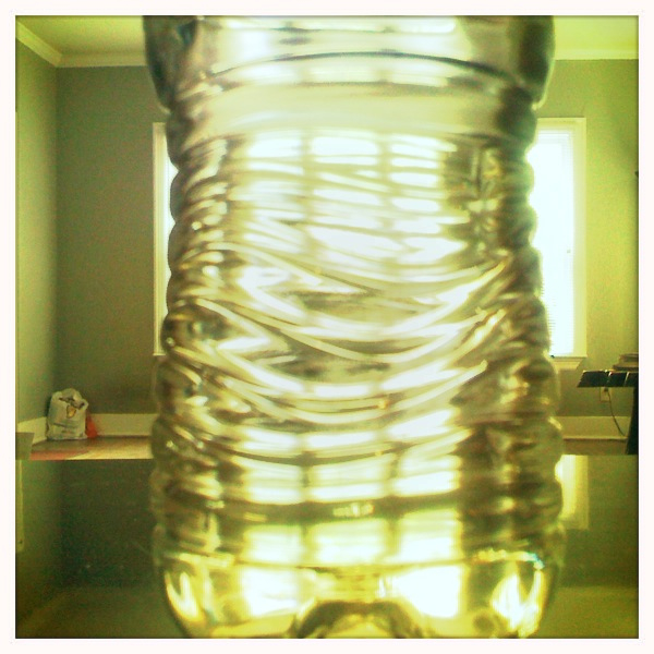 Hip 335295219.217411