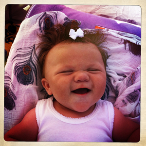 Hip 335295515.723822