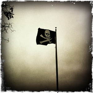 Hip 334968581.506286