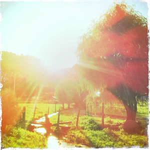 Hip 335147975.228931