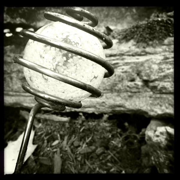 Hip 335297152.929244