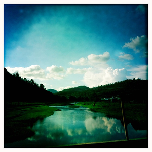 Hip 334888400.348568