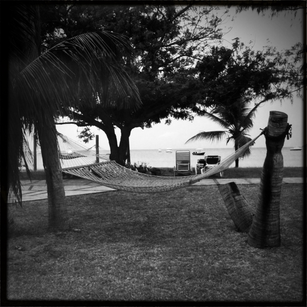 Hip 320751951.651782