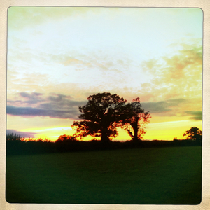 Hip 335216833.208360