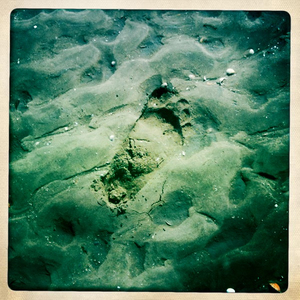 Hip 335287755.465534