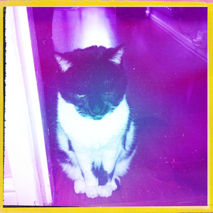 Hip 335298776.178995