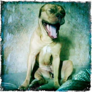 Hip 335174722.386717