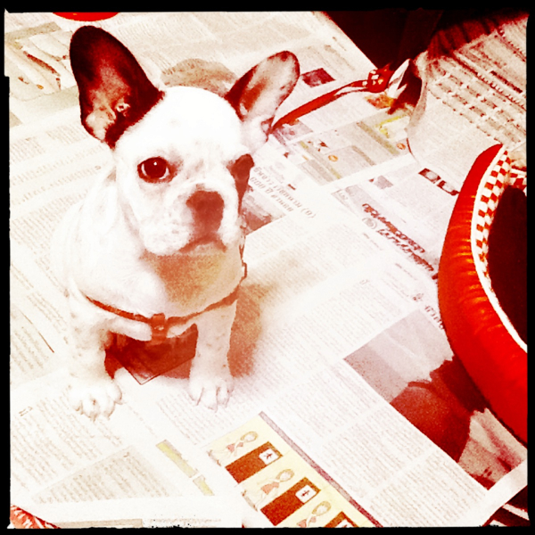 Hip 335292408.832714