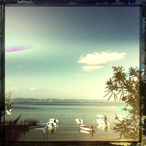 Hip 334823356.877703