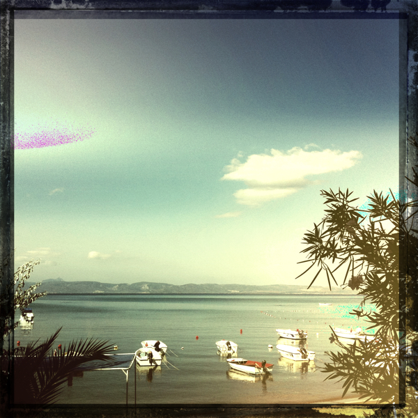 Hip 334823356.877703