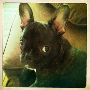 Hip 330715185.859587