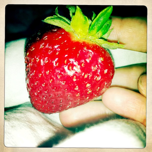 Hip 335302871.015290