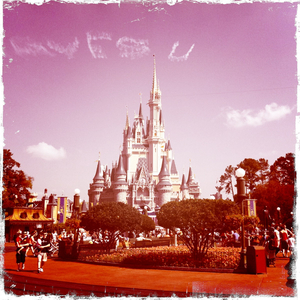 Hip 322327905.865411