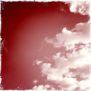 Hip 335057631.955198