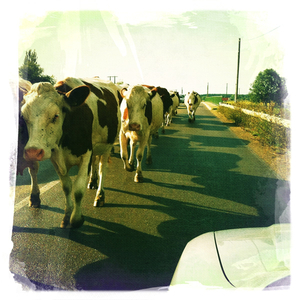 Hip 334253234.694151