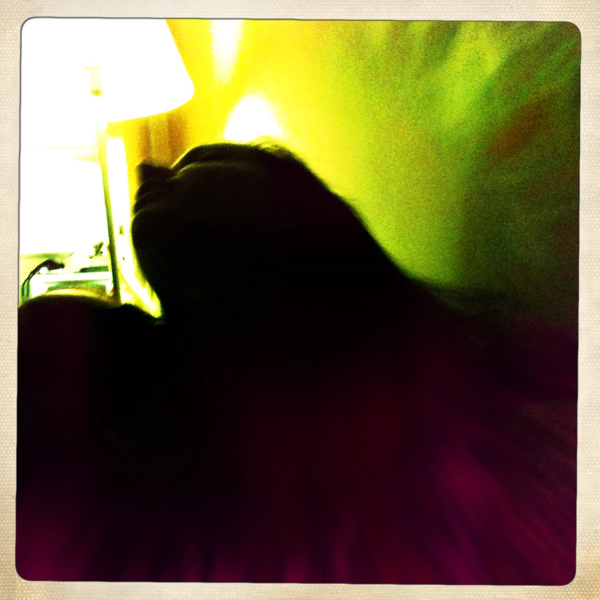 Hip 334022576.093580