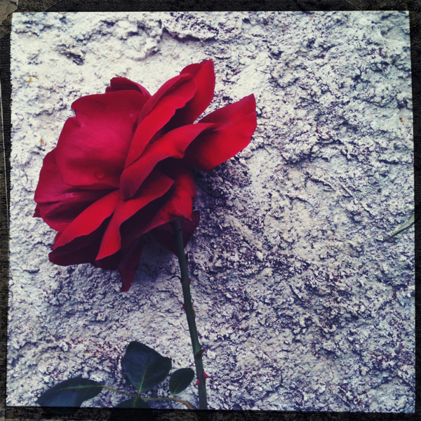 Hip 335014555.732052