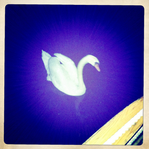 Hip 335301617.476967